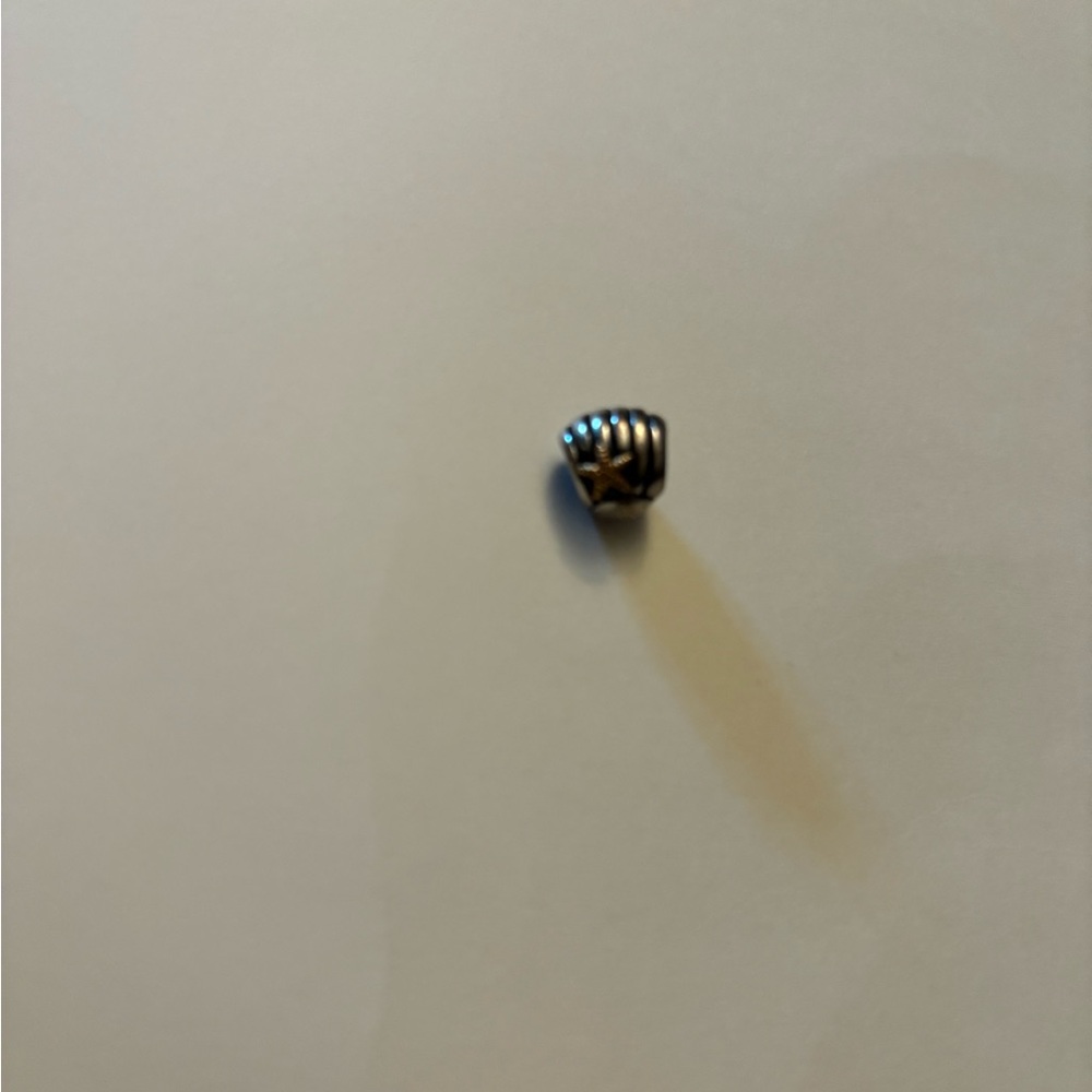 Pandora charm seashell